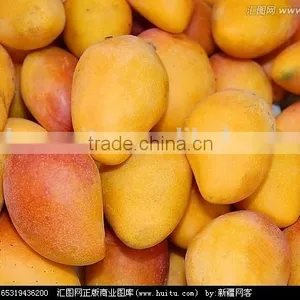 Ethephon, Mango Ripener thumbnail-3