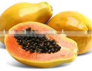 Papaya/pawpaw Multiple Layer Continuous Type Mesh Belt Dryer thumbnail-6