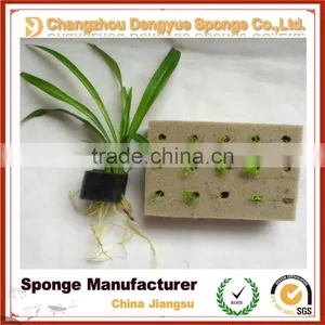 Family Farm Organic Cultivation Eco-friendly Moisture Retain Healthy Planting Foam thumbnail-5