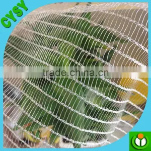 New Design Virgin Material Plastic Anti Bird Netting thumbnail-2
