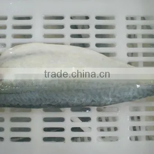 IQF Spanish Mackerel Fillet,Skin on ,Cutted thumbnail-1