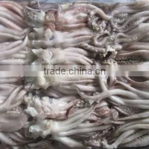 Japanese Flying Squid Tentacles High Quality Frozen Squid thumbnail-1