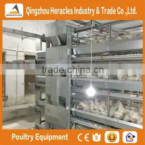 Best Quality Automatic Cage Chicken-poultry Breeding Equipment of H Type 4 or 5 Tiers thumbnail-3
