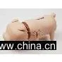 Coin Bank thumbnail-1