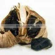 Organic Black Garlic thumbnail-1