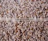 Psyllium Seed thumbnail-1
