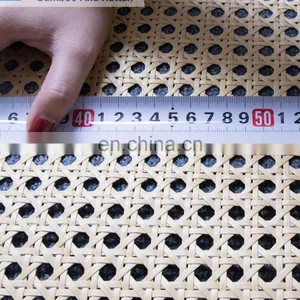 Plastic Cane Webbing 24