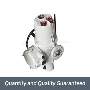 Rotoque Multi Turn Gate Valves Are Split High Temperature Resistant Actuators thumbnail-5