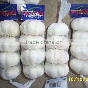 4p Garlic Prepacked thumbnail-1