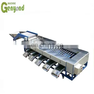 1T Grading Machine for Olives thumbnail-4