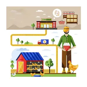 Hen House Streamlining Poultry Farm Management With Technology For Sale By Exporters thumbnail-2