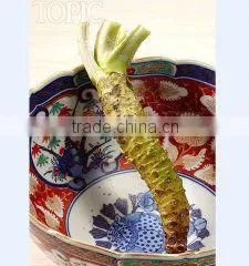 Dried Horseradish thumbnail-1
