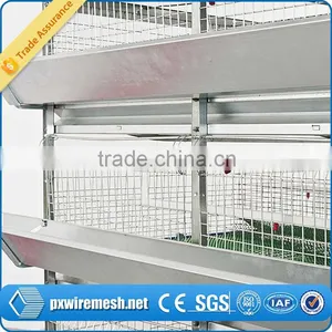 Hot-dipped Galvanized Quail Cage thumbnail-5