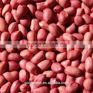 Chinese Red Skin Peanuts 50/60 Shandong FOR MACEDONIA /ALBANIA/NETHERLAND/TUNISIA thumbnail-4