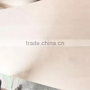 18MMX1220X2440 Competitive Price Commercial Plywood thumbnail-6