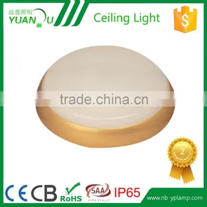 Delicated Appearance Ip65 Led Ceiling Light thumbnail-1
