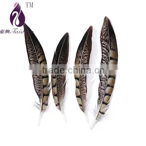 Pheasant Feathers for Clothing/wedding Decoration,stage Bulk Feathers thumbnail-1