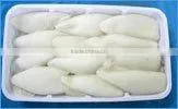 Frozen Squid Tube thumbnail-1