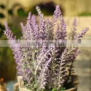 Wholesale Wooden Cask Hanging Plant Bonsai Decorative Bonsai Plant Sale thumbnail-5