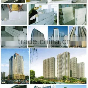Top Level Crazy Selling 100000 m3 Automatic Aac Block Machine thumbnail-1