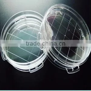 High Quality 55mm Disposable Petri Dish thumbnail-2