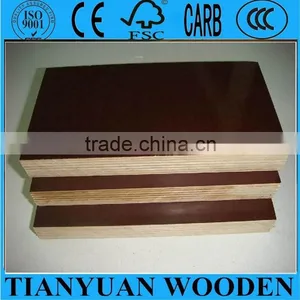E2 Glue Cheap Marine Plywood/film Faced Plywood Made in China thumbnail-5