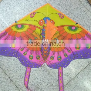 Kites thumbnail-1