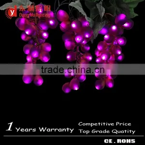 2015 Style Grape CE ROHS Certificated New Designed Popular Ball Led Decorate Light Led Home Decoration Light thumbnail-1