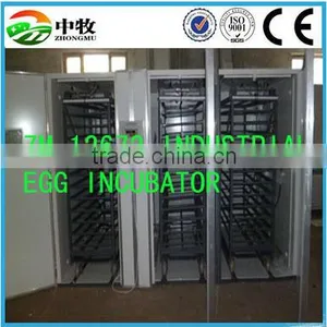 Large 10000 Egg Incubator/commercial Egg Incubator/chicken Egg Incubator for Sale thumbnail-2