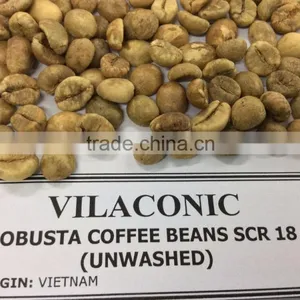 GREEN ROBUSTA COFFEE SCR 18 (skype: Davis.thong, Mobi: +84 986 778 999) thumbnail-1