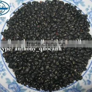 2014 Crop Green Mung Bean-anthony.vilaconic@gmail.com thumbnail-2