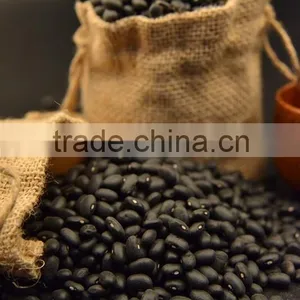 Chinese Black Kidney Bean thumbnail-1