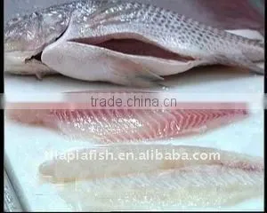 Bulk Tilapia Fillet thumbnail-1