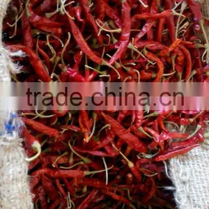 Red Chilli thumbnail-2