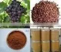 Grape Skin Extract thumbnail-1