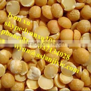 Soybean Peeling Machine / Soybean Skin Removing Machine thumbnail-3