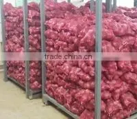 High Quality Fresh Onion From Kego Vietnam thumbnail-3