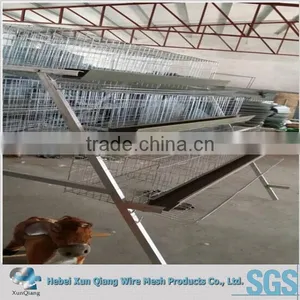 H Type 120 Layers Chicken Cage Laying Hens thumbnail-2
