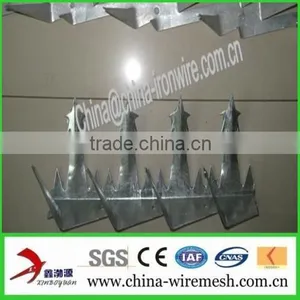 Galvanized Steel Wall Spikes / Anti-climb Spikes/ Security Spikes (factory ) thumbnail-3