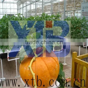 Greenhouse for Hydroponics System thumbnail-1