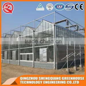 Large Glass Agricultural Greenhouses Indoor Glass Greenhouse Used thumbnail-5