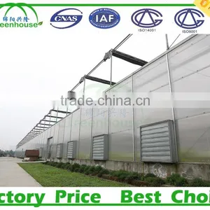 Commercial Greenhouse Supplier for Polycarbonate Sheet thumbnail-3
