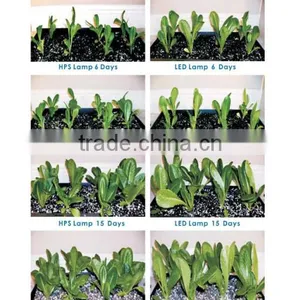 Upgrade and Newly Developed UFO LED Grow Light Full Spectrum 2nd Generation Series 300w Plants Light thumbnail-4