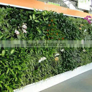 SJCHY5234 Custom Make Landscaping Artificial Grass Wall,foliage Wall Artificial thumbnail-2