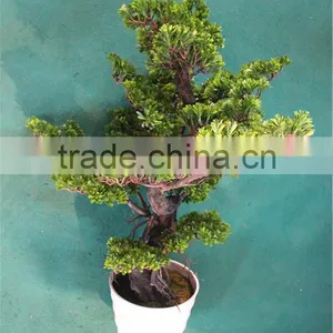 Home Garden Decoration 50cm to 160 cm Hight Small Indoor Canadian Artificial Green Pot Plastic Similar Pine Trees ELSPZ02 0904 thumbnail-5