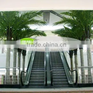 GNW APM033 Decorative Artificial Palm Tree 13ft High Indoor Outdoor Decoration Use For Sale thumbnail-5