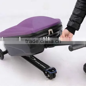 2013 HOT Sale PC/EVA New Design Trolley Case thumbnail-4