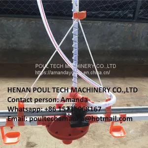 Cameroon Poultry Farm Automatic Broiler Chicken Plastic Salt Floor System With Automatic Nipple Drinker System & Feeding Pan System in Chicken Coop thumbnail-1