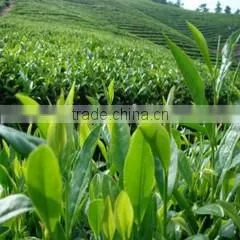 Changchun Jinsheng Zhuoyu Trading Co., Ltd. company overview - view 2 thumbnail