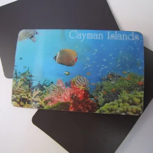 Souvenir Promotional Gifts 3D Lenticular Fridge Magnet thumbnail-4